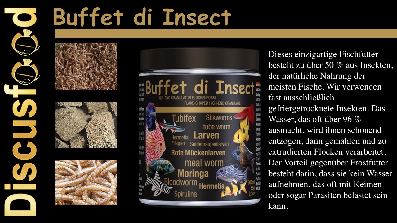 Buffet di Insect