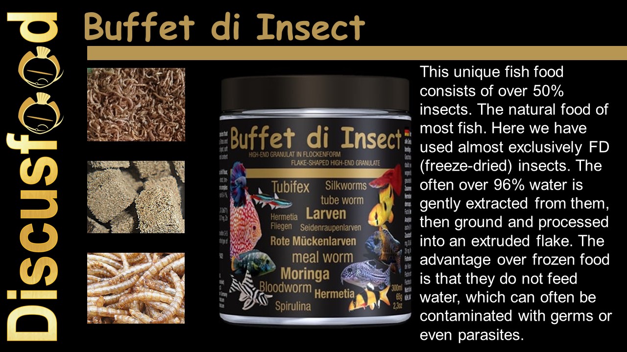 Buffet di Insect