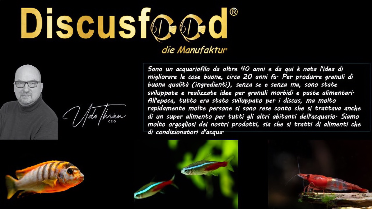 Discusfood